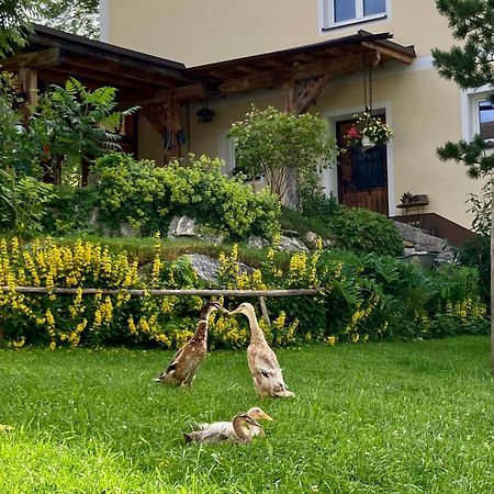 Heissgut Appartement Altenmarkt im Pongau Buitenkant foto