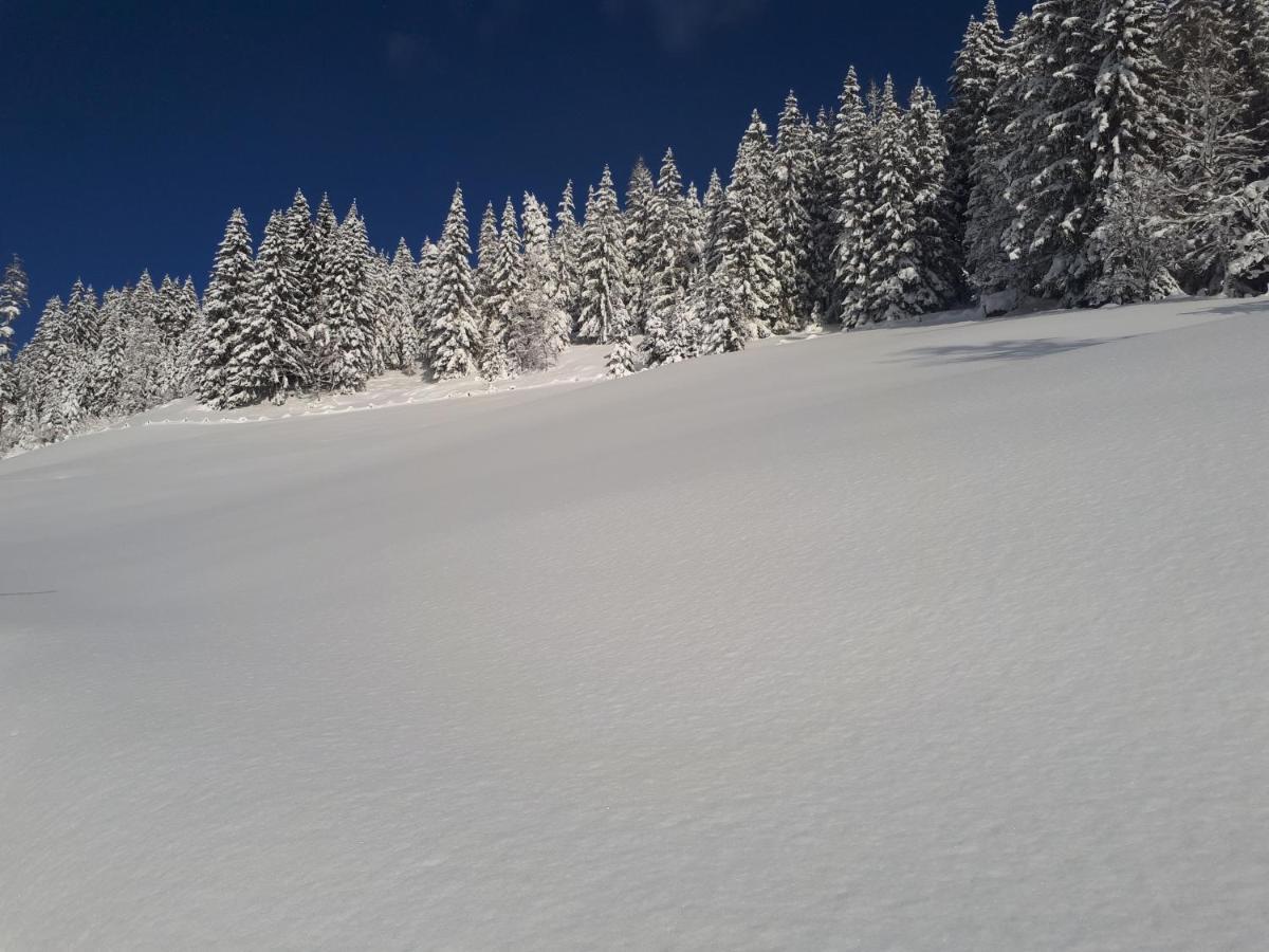 Heissgut Appartement Altenmarkt im Pongau Buitenkant foto