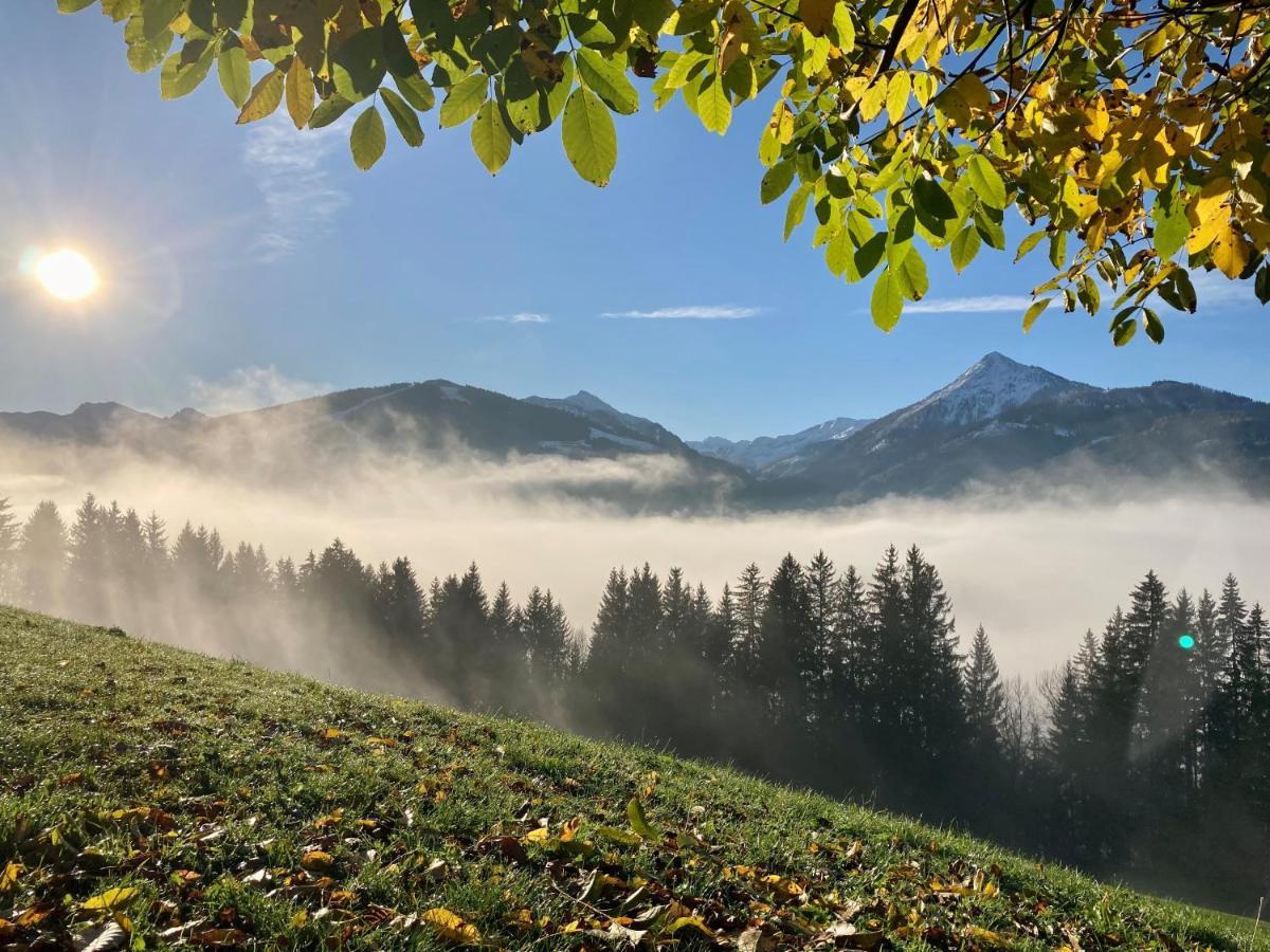 Heissgut Appartement Altenmarkt im Pongau Buitenkant foto