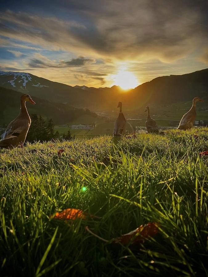 Heissgut Appartement Altenmarkt im Pongau Buitenkant foto